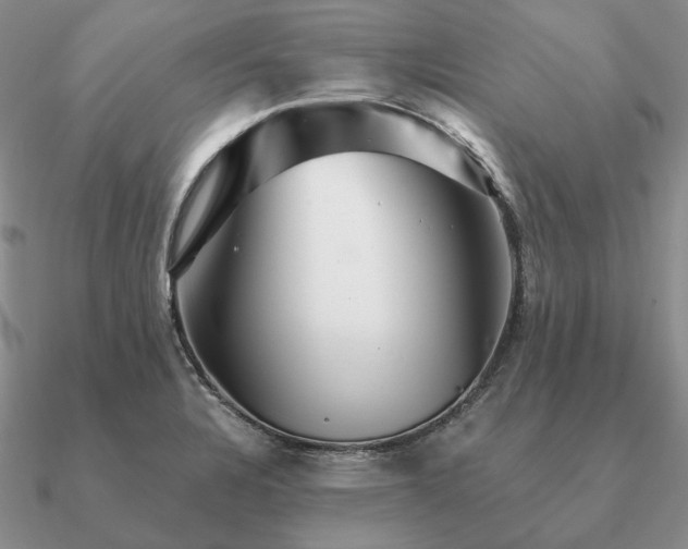 X0000090921328200708061535