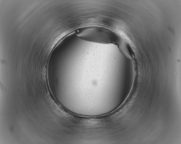 X0000090921329200708061535