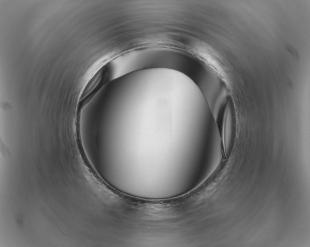 X0000090921330200708061535