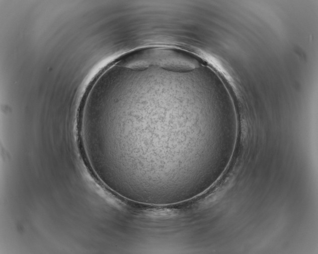 X0000090921331200708061535