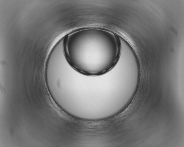 X0000090921332200708061535