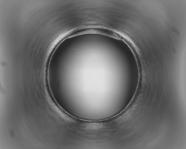X0000090921333200708061535