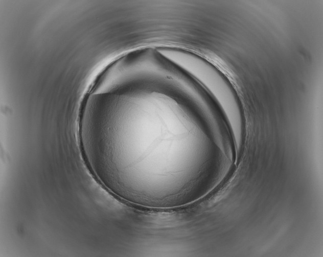 X0000090921334200708061535