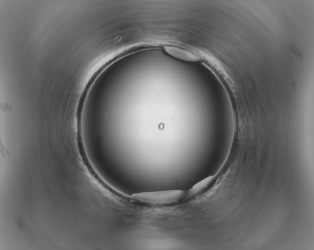 X0000090921335200708061535