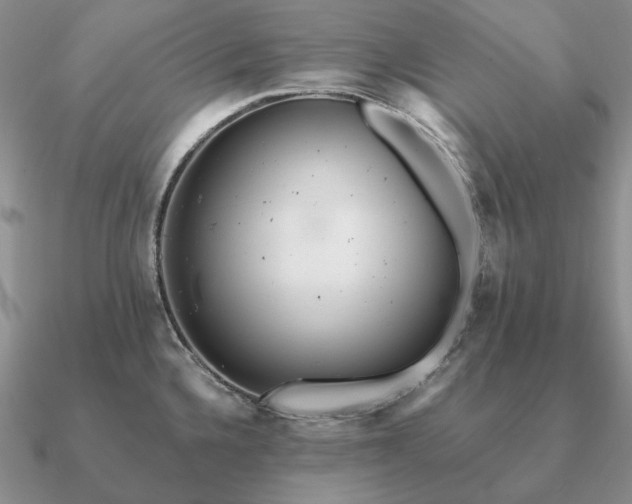 X0000090921336200708061535