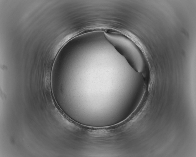 X0000090921337200708061535