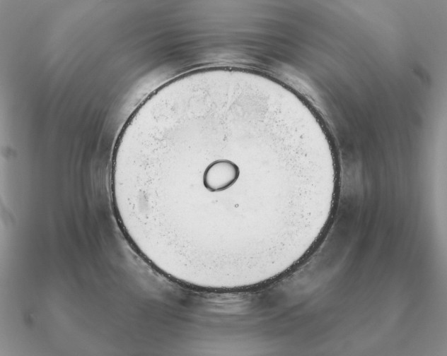 X0000090921338200708061535
