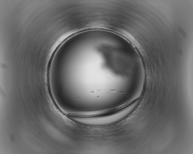 X0000090921339200708061535