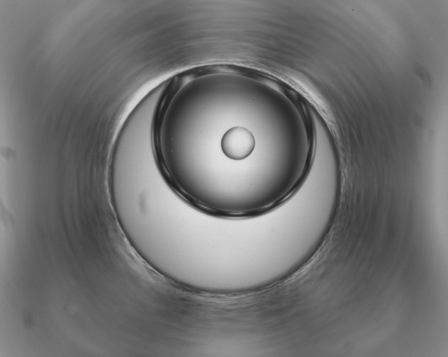 X0000090921340200708061535
