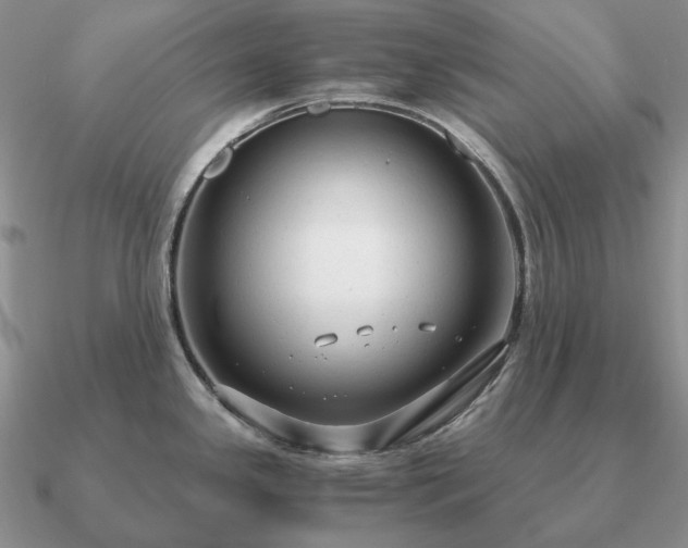 X0000090921341200708061535