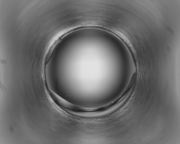 X0000090921342200708061535