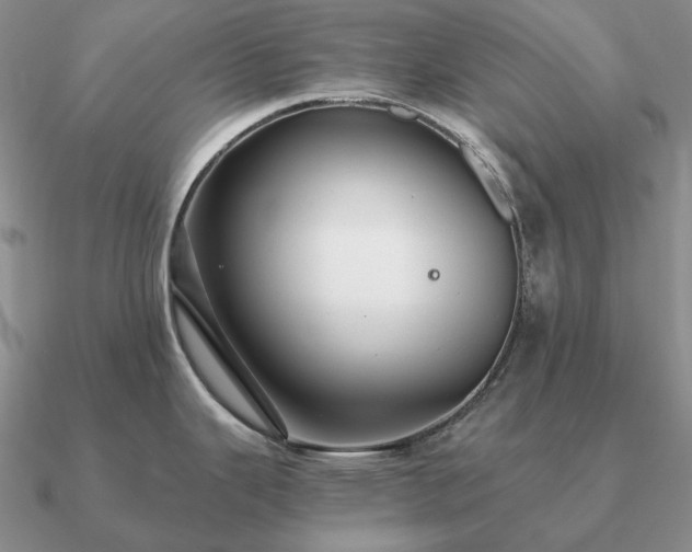 X0000090921343200708061535