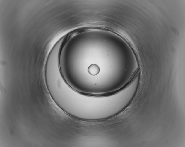 X0000090921344200708061535