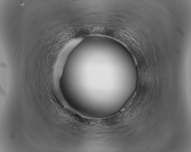 X0000090921345200708061534