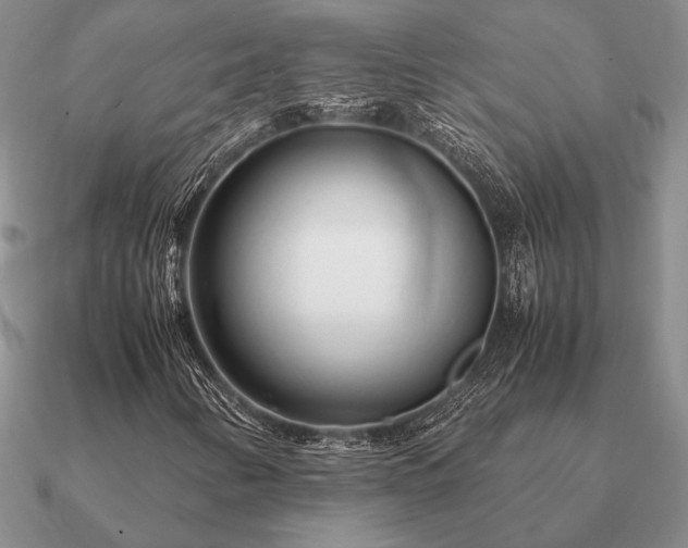 X0000090921346200708061534