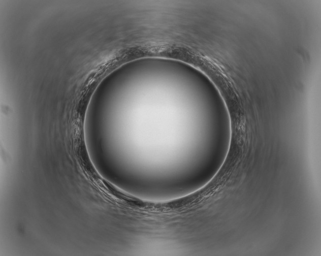 X0000090921349200708061534