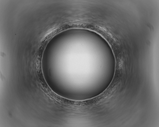 X0000090921350200708061534