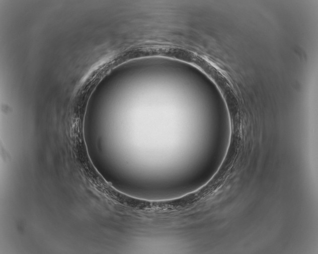 X0000090921351200708061534