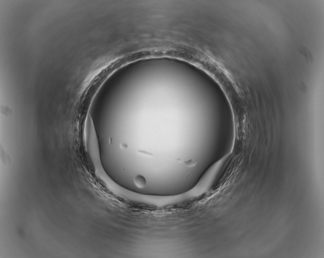 X0000090921352200708061534