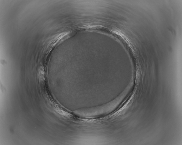 X0000090921353200708061534