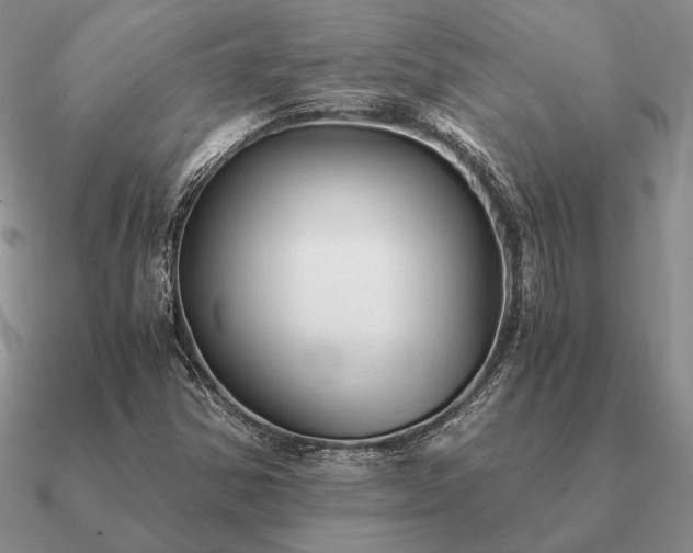 X0000090921354200708061534