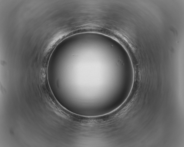 X0000090921355200708061534