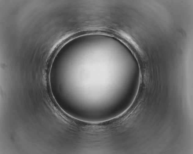 X0000090921356200708061534