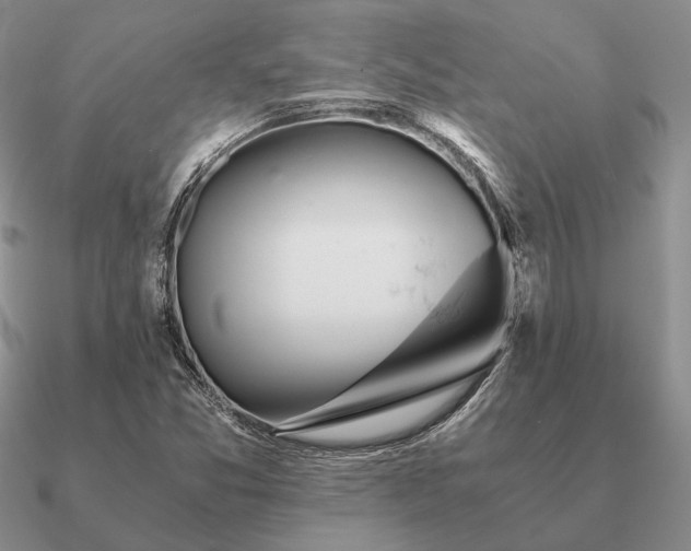 X0000090921357200708061534