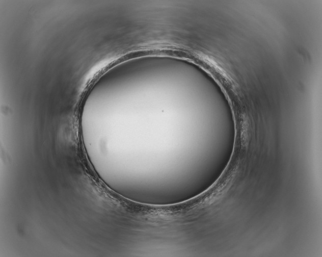 X0000090921358200708061534