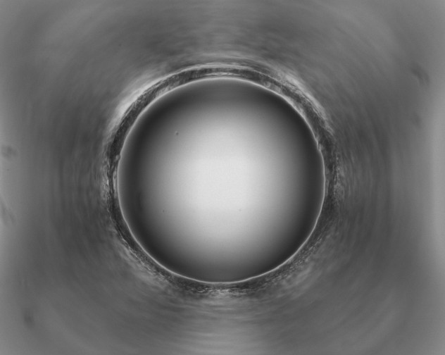 X0000090921360200708061534