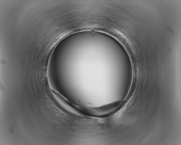 X0000090921361200708061534