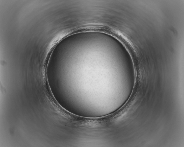 X0000090921362200708061534