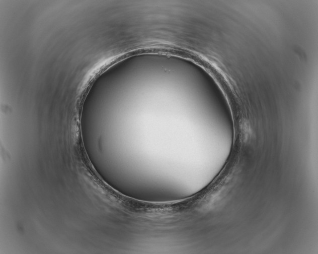 X0000090921363200708061534