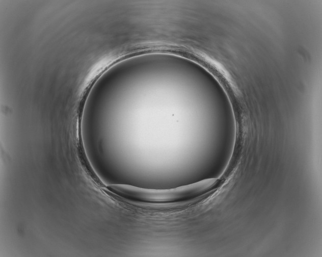 X0000090921365200708061534