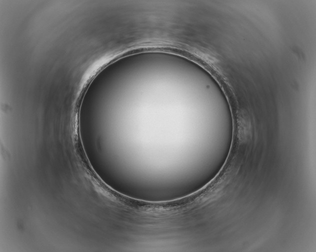 X0000090921366200708061534