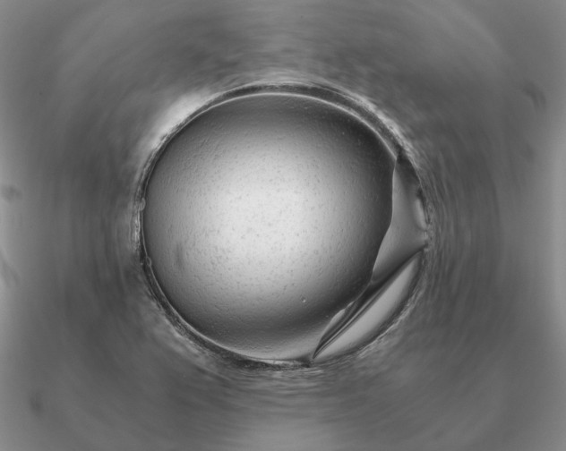 X0000090921367200708061534