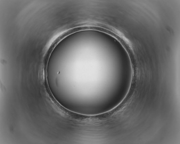 X0000090921368200708061534