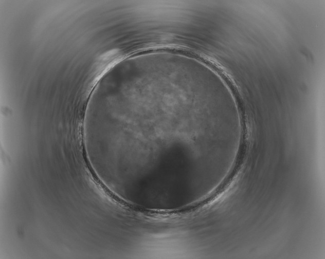 X0000090921369200708061534