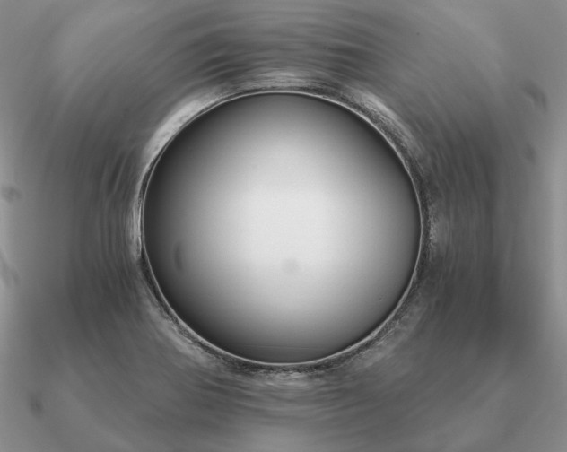 X0000090921370200708061534