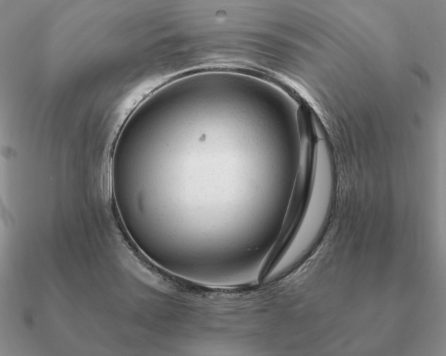 X0000090921371200708061534