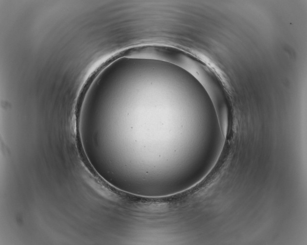 X0000090921372200708061534
