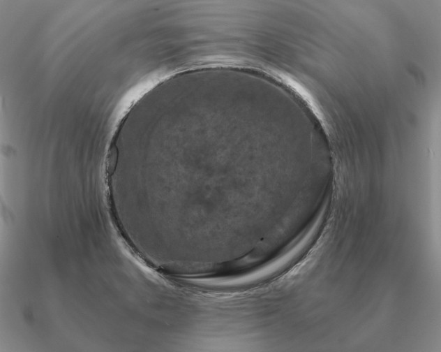 X0000090921373200708061534