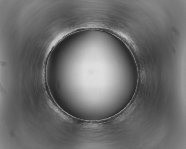 X0000090921374200708061534