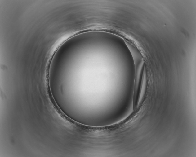 X0000090921375200708061534