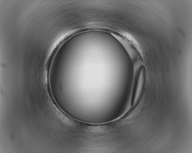 X0000090921376200708061534