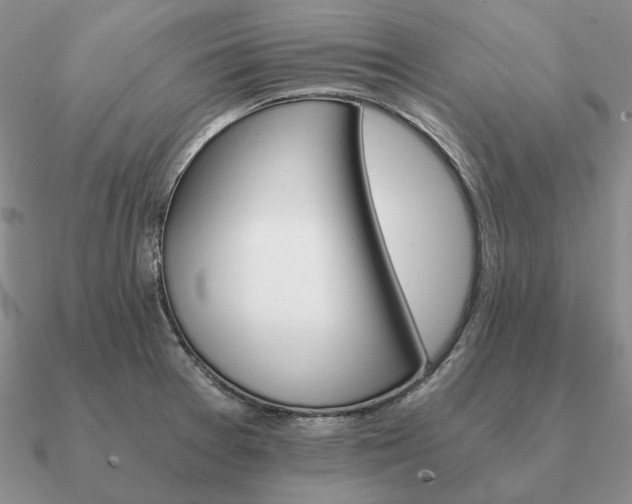 X0000090921377200708061534