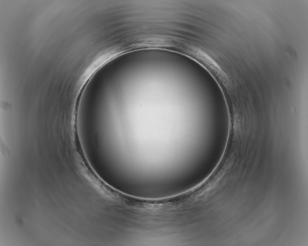 X0000090921378200708061534