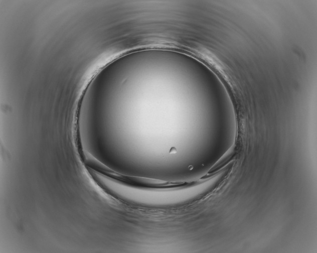 X0000090921379200708061534