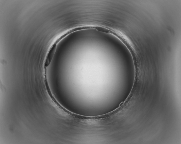 X0000090921380200708061534