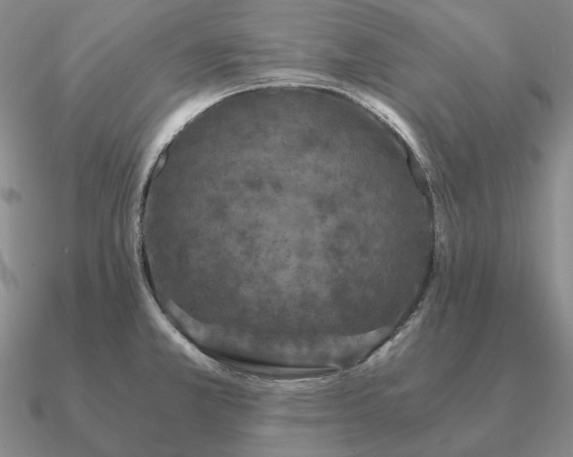 X0000090921381200708061534